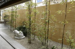 �悭���邲����