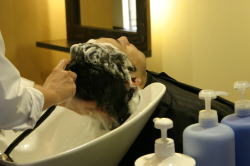 �悭���邲����